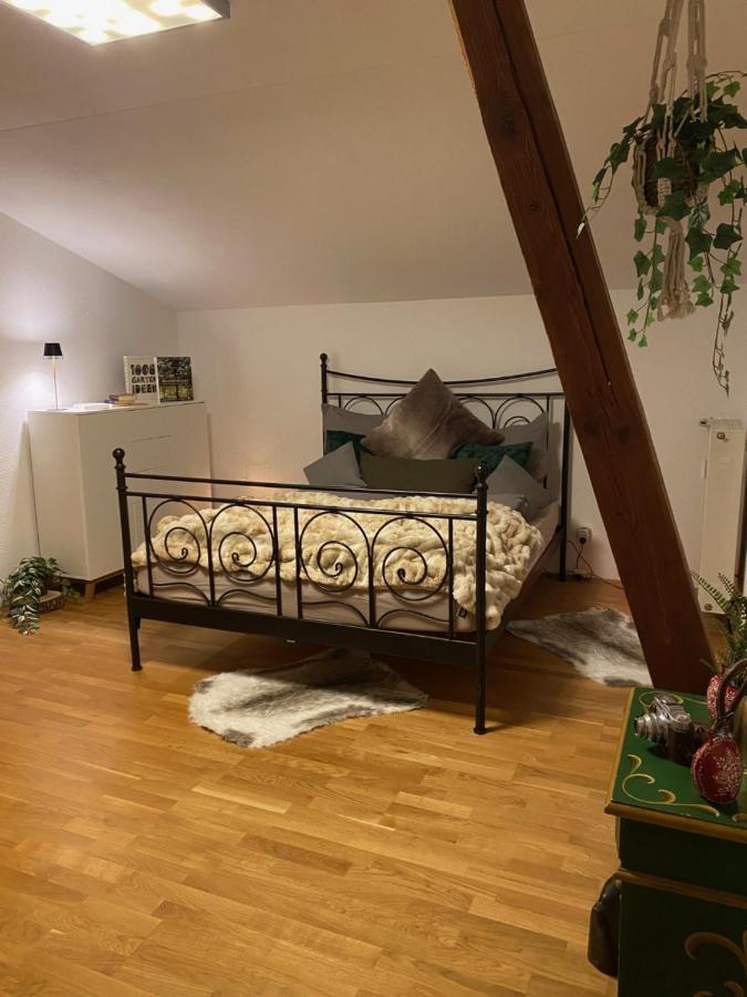 Neues Ruhiges Apartment, Bergblick, Stellplatz Бишофсвизен Экстерьер фото