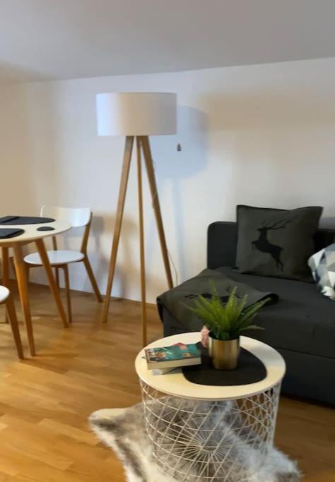 Neues Ruhiges Apartment, Bergblick, Stellplatz Бишофсвизен Экстерьер фото